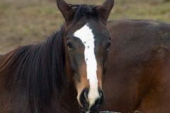 dsc_3343.jpg
