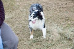 dsc_3370.jpg