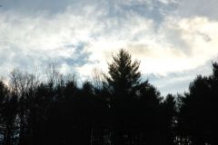 d06_7594.jpg