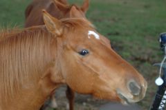 d06_7619.jpg