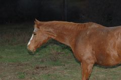 d06_7621.jpg