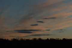 d06_7627.jpg