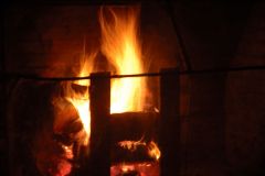 D08_4653.JPG