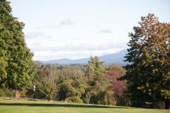 D09_4996.jpg