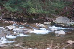 D10_7260.jpg