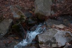D10_7292.jpg