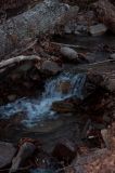D10_7293.jpg
