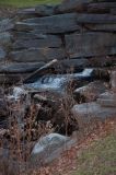 D10_7294.jpg