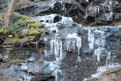 D12_8356.jpg