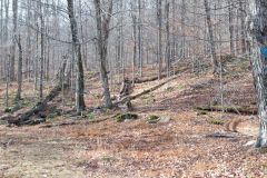 D13_7545.jpg